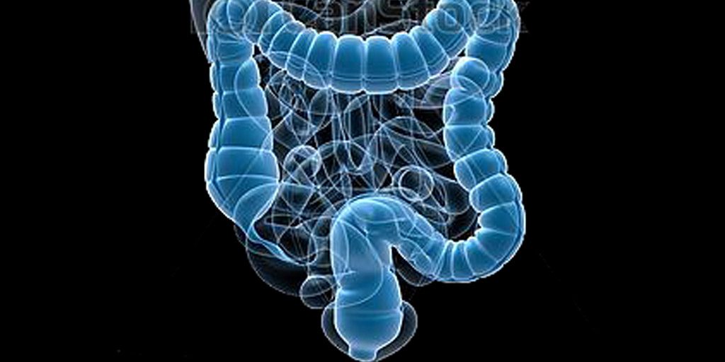 Value of Colon Hydrotherapy Verified by Medical Professionals Prescribing it