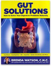 picture of the book cover: Gut Solutions